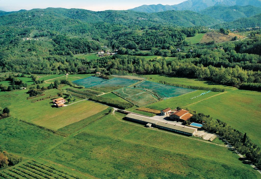 Agriturismo La Praduscella フィヴィッツァーノ エクステリア 写真