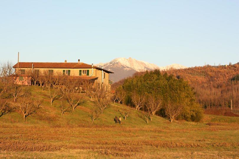 Agriturismo La Praduscella フィヴィッツァーノ エクステリア 写真