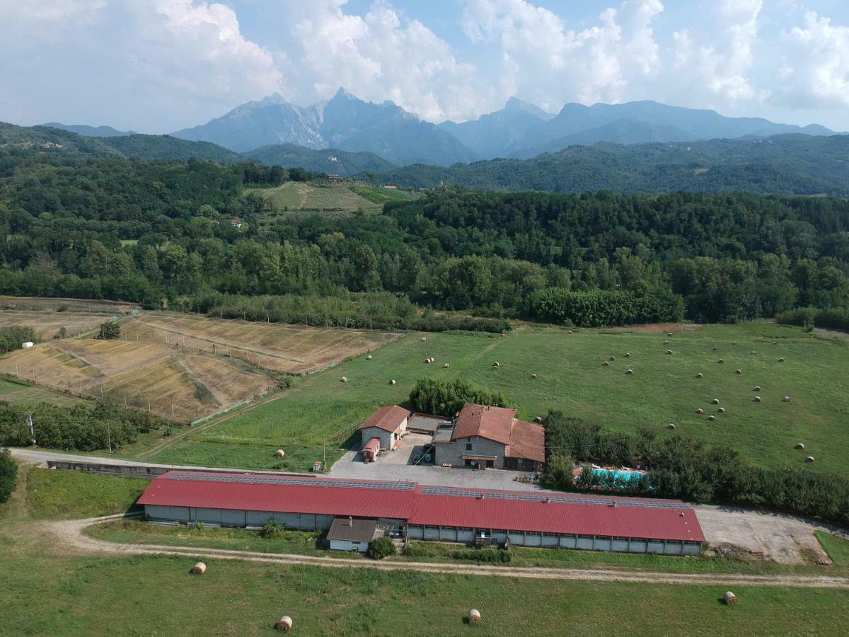 Agriturismo La Praduscella フィヴィッツァーノ エクステリア 写真